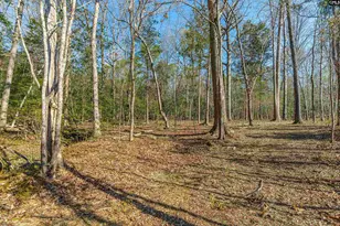 Parcel A Grover Wilson Rd, Blythewood, SC 29016 - Photo 7