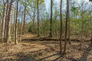 Parcel A Grover Wilson Rd, Blythewood, SC 29016 - Photo 11