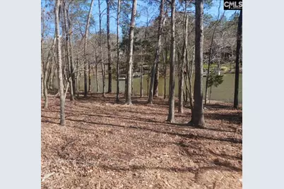 1061 Refuge Place #Lot 30, Chapin, SC 29036 - Photo 3