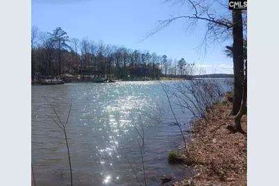 1061 Refuge Place #Lot 30, Chapin, SC 29036 - Photo 5