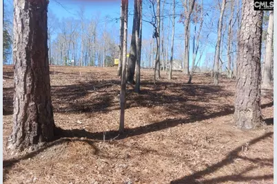 1061 Refuge Place #Lot 30, Chapin, SC 29036 - Photo 7