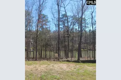 1061 Refuge Place #Lot 30, Chapin, SC 29036 - Photo 9