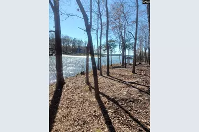1061 Refuge Place #Lot 30, Chapin, SC 29036 - Photo 11