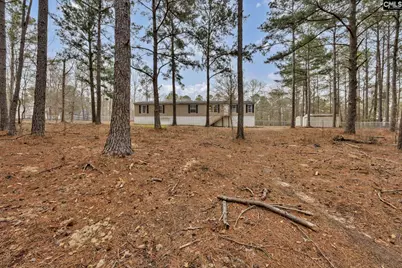 47 Belvis Road, Elgin, SC 29045 - Photo 33