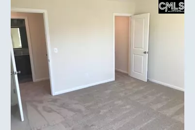 1028 Bergenfield Lane, Chapin, SC 29036 - Photo 15