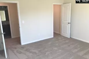 1028 Bergenfield Ln, Chapin, SC 29036 - Photo 15