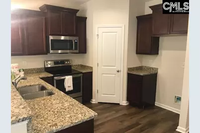 1028 Bergenfield Lane, Chapin, SC 29036 - Photo 3