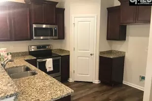 1028 Bergenfield Ln, Chapin, SC 29036 - Photo 3