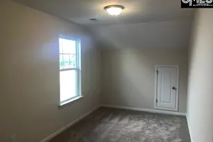 1028 Bergenfield Ln, Chapin, SC 29036 - Photo 11