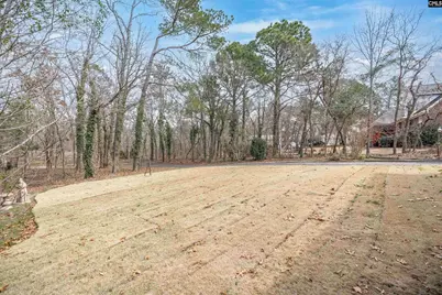 18 Blackhawk Court, Blythewood, SC 29016 - Photo 47