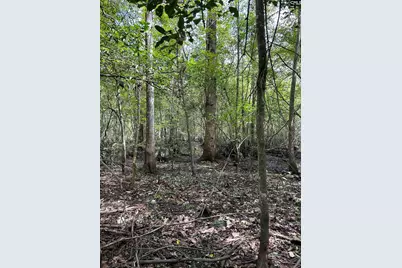 8200 Salem Road, New Zion, SC 29111 - Photo 11