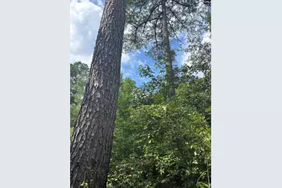 8200 Salem Road, New Zion, SC 29111 - Photo 5