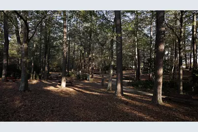 758 Ben Gunn Run, Gilbert, SC 29054 - Photo 37