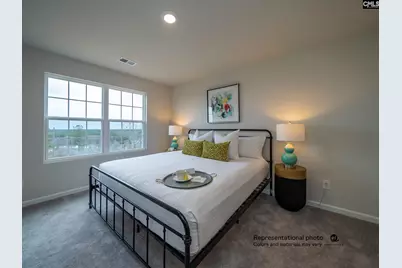 763 Ben Gunn Run, Gilbert, SC 29054 - Photo 21