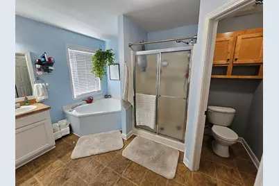 230 Sorrel Tree Lane, Elgin, SC 29045 - Photo 17