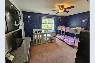 230 Sorrel Tree Lane, Elgin, SC 29045 - Photo 19