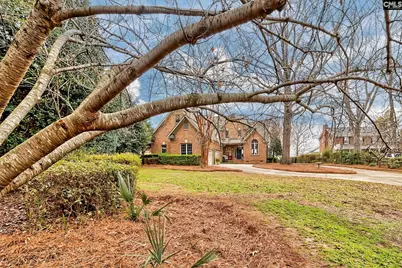 215 Westridge Court, Chapin, SC 29036 - Photo 73