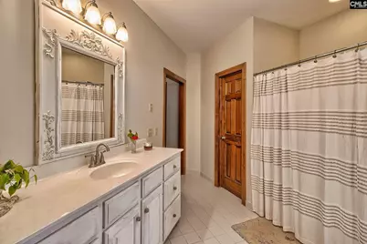 215 Westridge Court, Chapin, SC 29036 - Photo 63