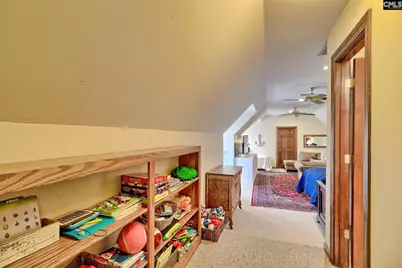 215 Westridge Court, Chapin, SC 29036 - Photo 47