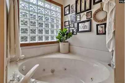 215 Westridge Court, Chapin, SC 29036 - Photo 65