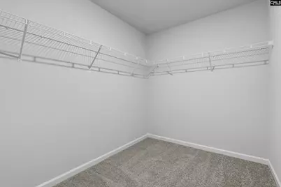 556 Corkscrew Lane, Blythewood, SC 29016 - Photo 19