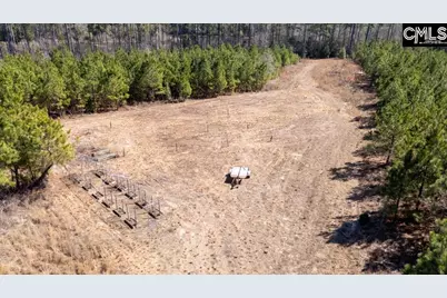 231 Catalina Boulevard, Sandy Run, SC 29160 - Photo 9