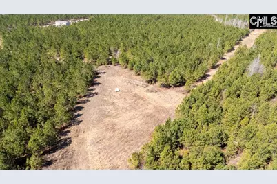 231 Catalina Boulevard, Sandy Run, SC 29160 - Photo 7