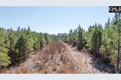 231 Catalina Boulevard, Sandy Run, SC 29160 - Photo 11