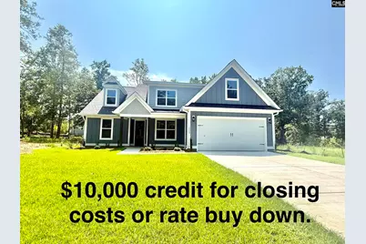 1008 Refuge Place, Chapin, SC 29036 - Photo 1