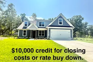 1008 Refuge Pl, Chapin, SC 29036 - Photo 1