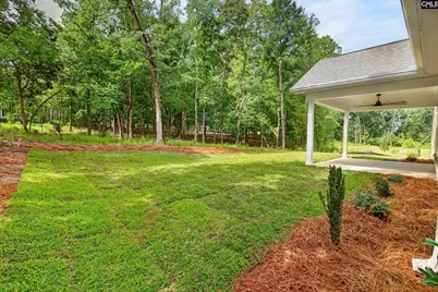 1008 Refuge Place, Chapin, SC 29036 - Photo 47