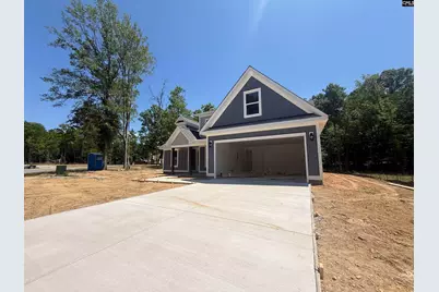 1008 Refuge Place, Chapin, SC 29036 - Photo 3