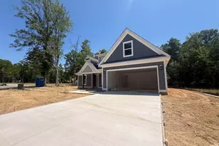 1008 Refuge Pl, Chapin, SC 29036 - Photo 3