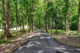 887 Living Waters Dr, Great Falls, SC 29055 - Photo 35