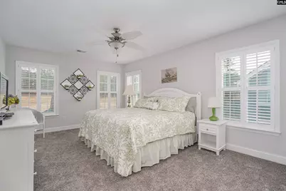 248 Laurelbrook Drive, Chapin, SC 29036 - Photo 33