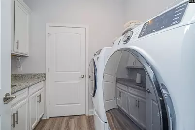 248 Laurelbrook Drive, Chapin, SC 29036 - Photo 19