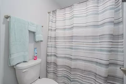 248 Laurelbrook Drive, Chapin, SC 29036 - Photo 29