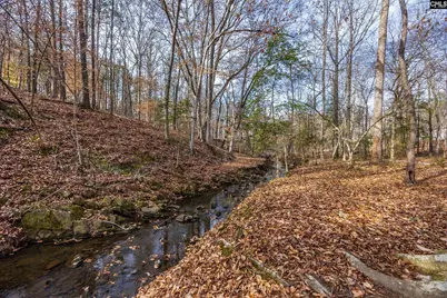1211 Muddy Ford Road, Chapin, SC 29036 - Photo 37