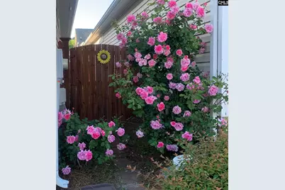 301 Baltica Lane, Irmo, SC 29063 - Photo 23