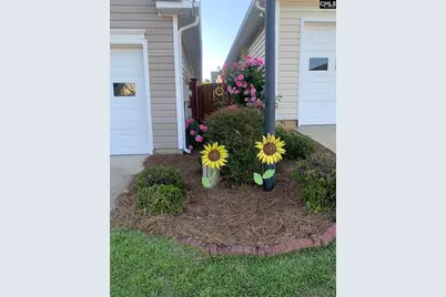 301 Baltica Lane, Irmo, SC 29063 - Photo 25