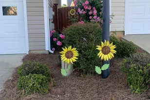 301 Baltica Ln, Irmo, SC 29063 - Photo 25