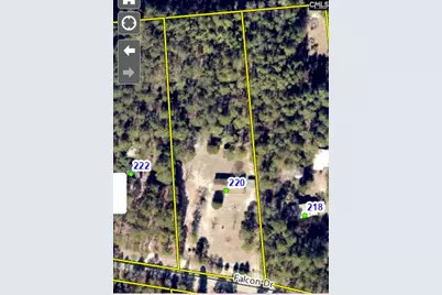 220 Falcon Drive, Lexington, SC 29073 - Photo 53