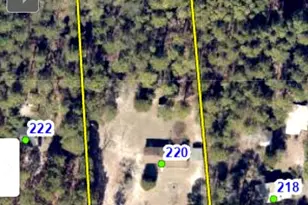 220 Falcon Dr, Lexington, SC 29073 - Photo 53