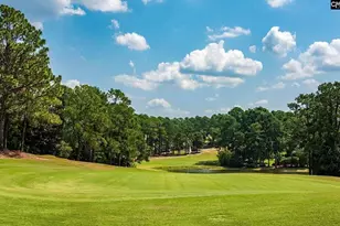 105 Wildewood Club Ct, Columbia, SC 29223 - Photo 29