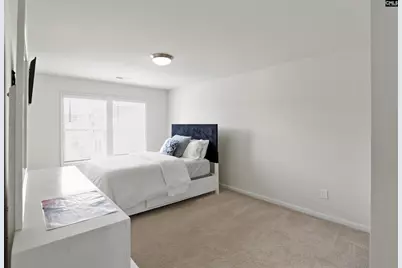 425 Spruce Knob Lane, Blythewood, SC 29016 - Photo 31