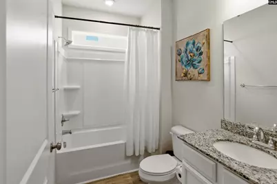 425 Spruce Knob Lane, Blythewood, SC 29016 - Photo 23