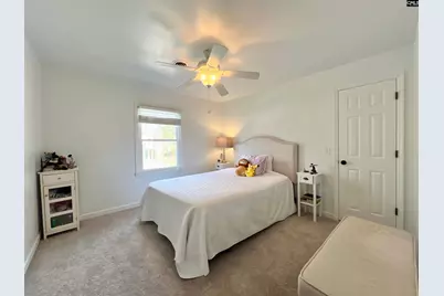 117 Fire Thorn Lane, Columbia, SC 29223 - Photo 53