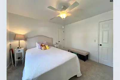 117 Fire Thorn Lane, Columbia, SC 29223 - Photo 57