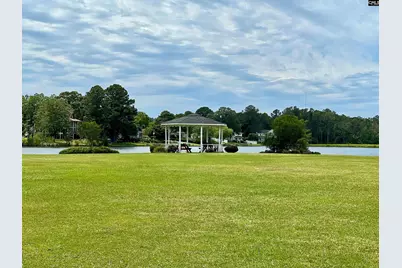 117 Fire Thorn Lane, Columbia, SC 29223 - Photo 67