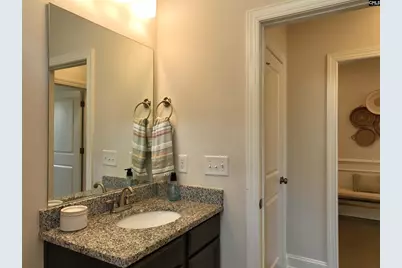218 Chapin Brook Court, Chapin, SC 29036 - Photo 29